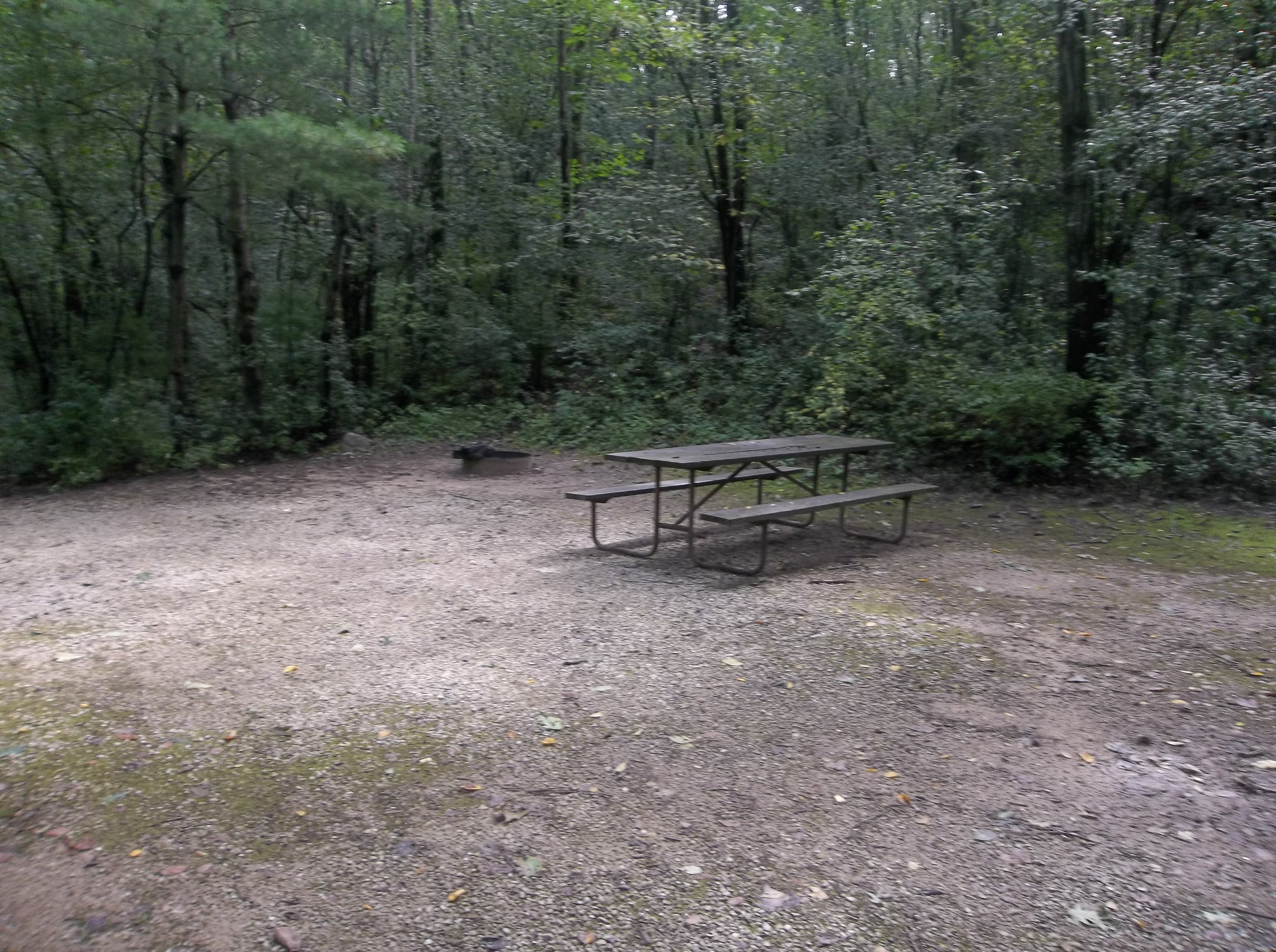 Site 10, photo 2 of 3 · from wisconsin.goingtocamp.com (the park's booking system)