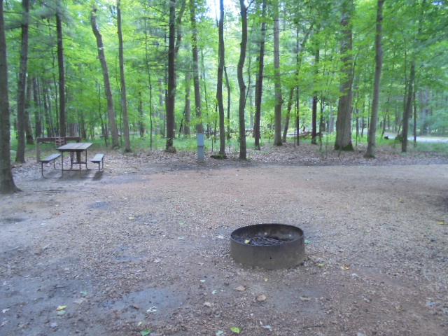 Site 14, photo 2 of 4 · from wisconsin.goingtocamp.com (the park's booking system)