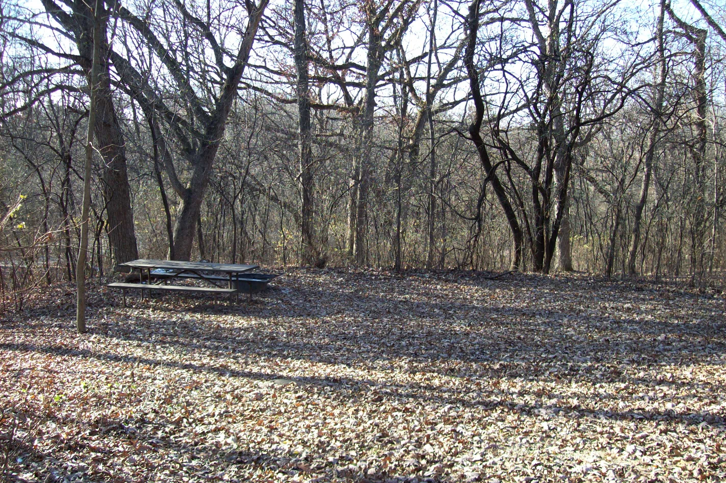 Site 776, photo 3 of 4 · from wisconsin.goingtocamp.com (the park's booking system)