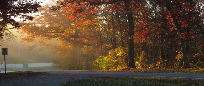 New Glarus Woods State Park