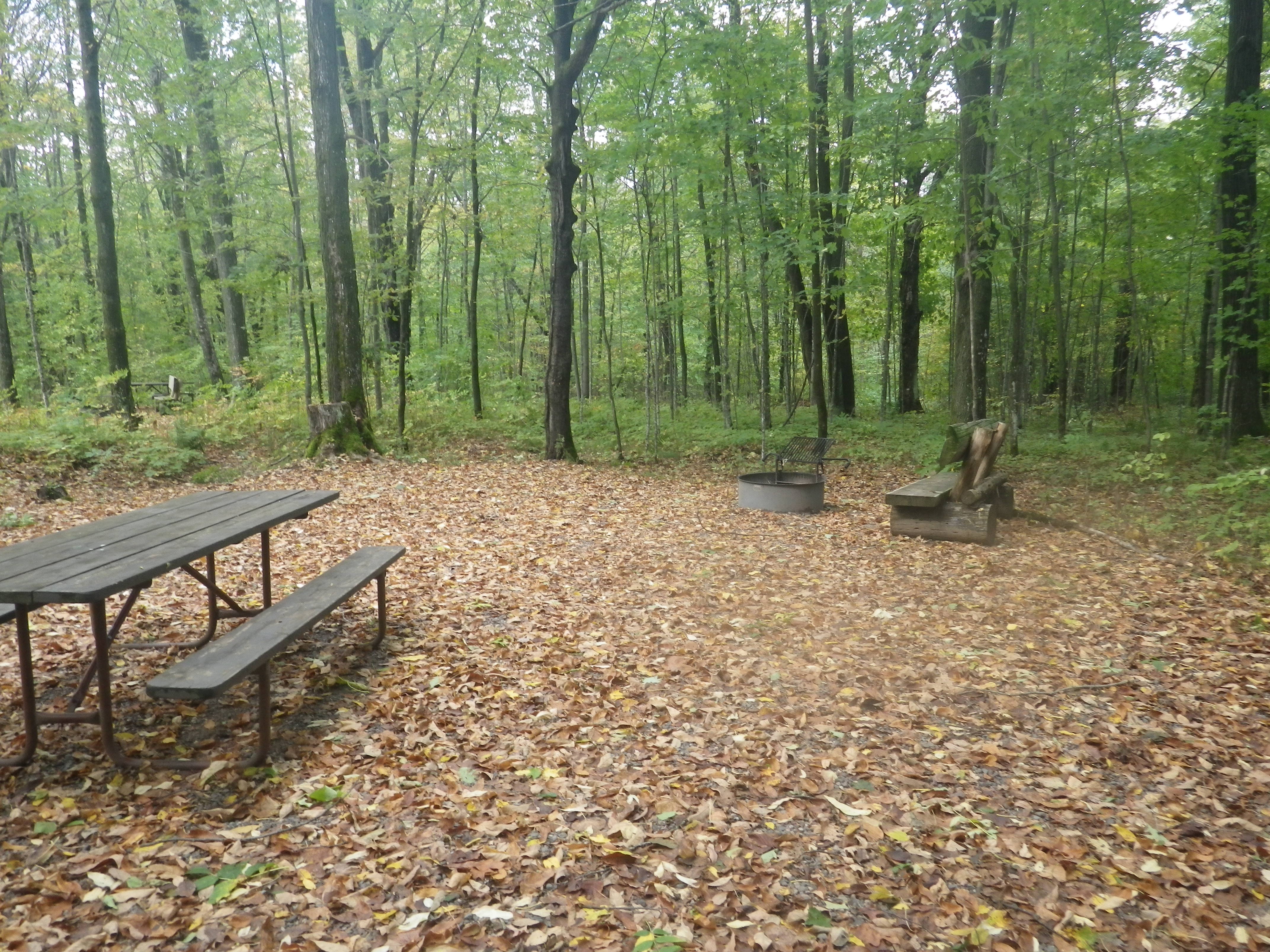 Site 128, photo 3 of 3 · from wisconsin.goingtocamp.com (the park's booking system)