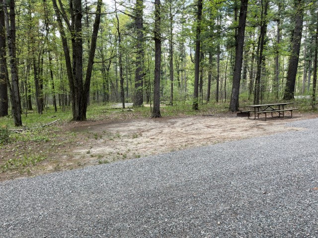 Site 22, photo 3 of 3 · from wisconsin.goingtocamp.com (the park's booking system)