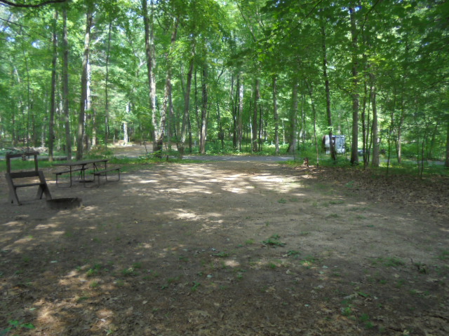 Site 19, photo 3 of 4 · from wisconsin.goingtocamp.com (the park's booking system)