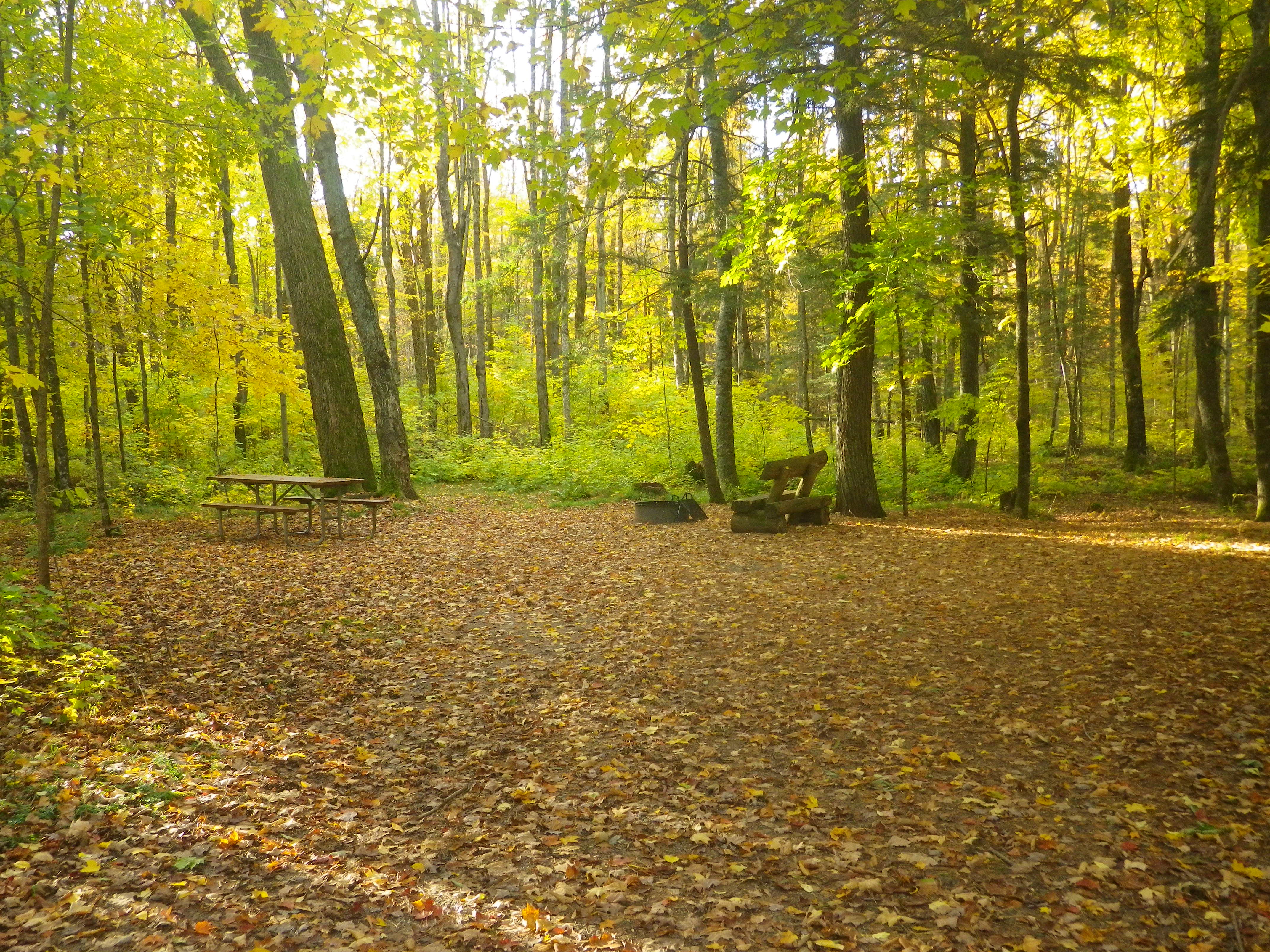 Site 24, photo 3 of 4 · from wisconsin.goingtocamp.com (the park's booking system)