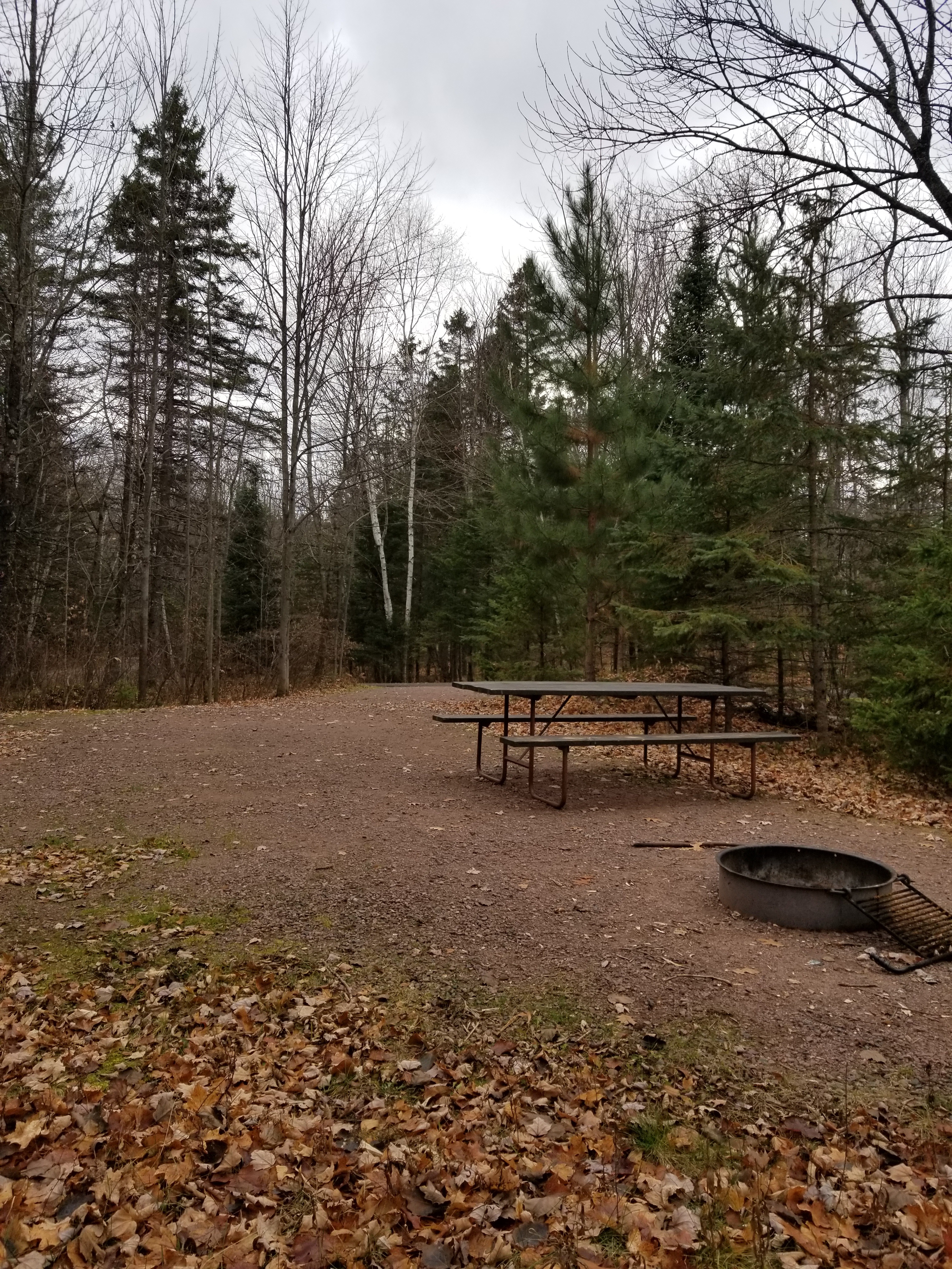 Site 30, photo 3 of 4 · from wisconsin.goingtocamp.com (the park's booking system)