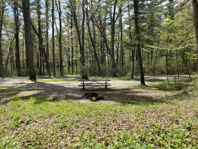 Site 3, photo 3 of 3 · from wisconsin.goingtocamp.com (the park's booking system)