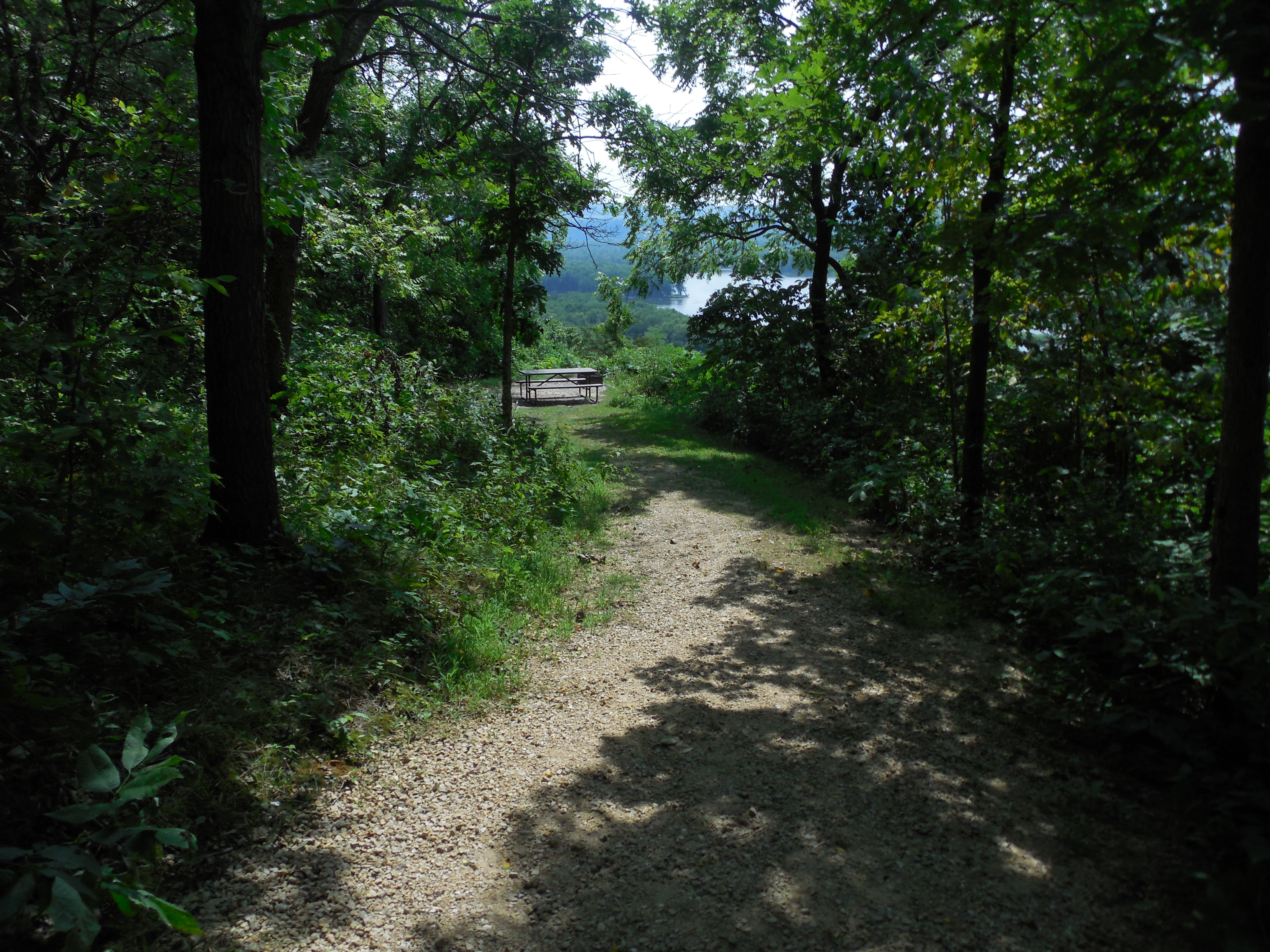 Site D, photo 2 of 3 · from wisconsin.goingtocamp.com (the park's booking system)