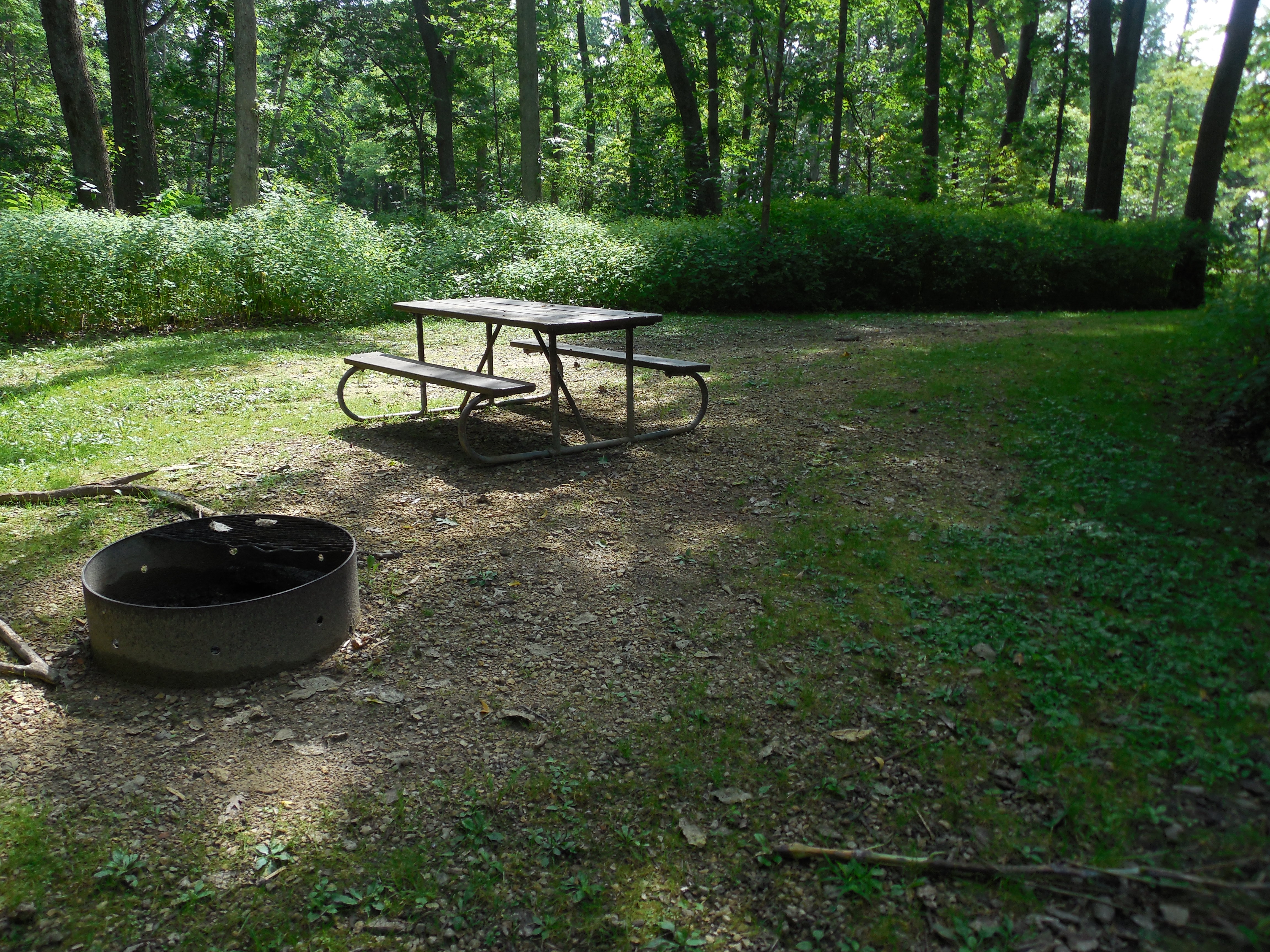 Site 41, photo 3 of 3 · from wisconsin.goingtocamp.com (the park's booking system)