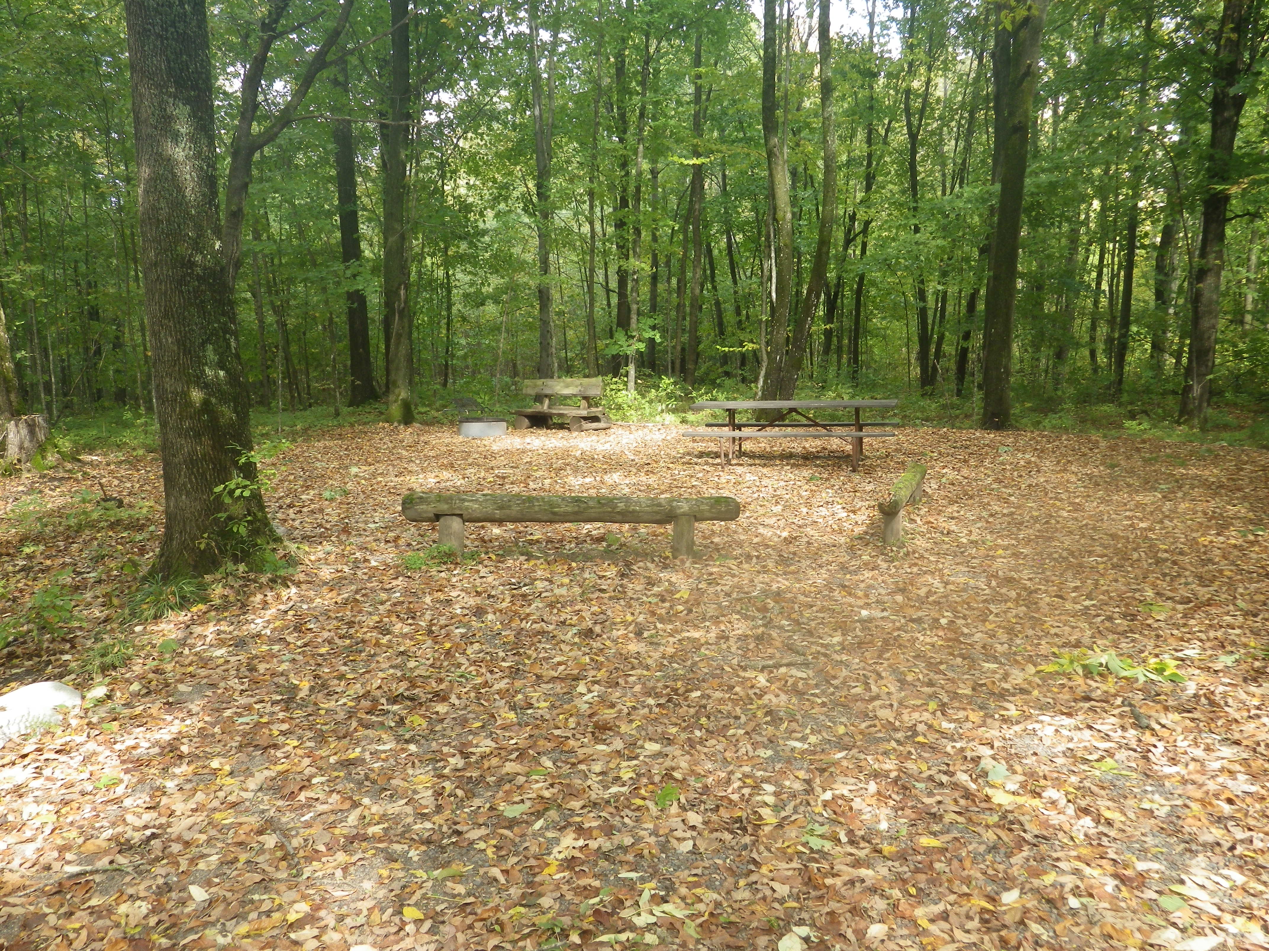 Site 128, photo 2 of 3 · from wisconsin.goingtocamp.com (the park's booking system)