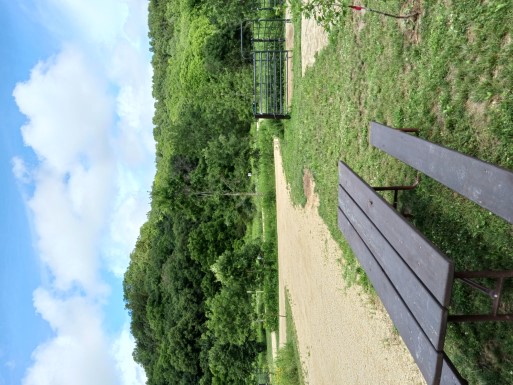 Site 767, photo 3 of 3 · from wisconsin.goingtocamp.com (the park's booking system)