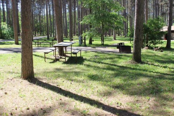 Site 47, photo 3 of 3 · from wisconsin.goingtocamp.com (the park's booking system)