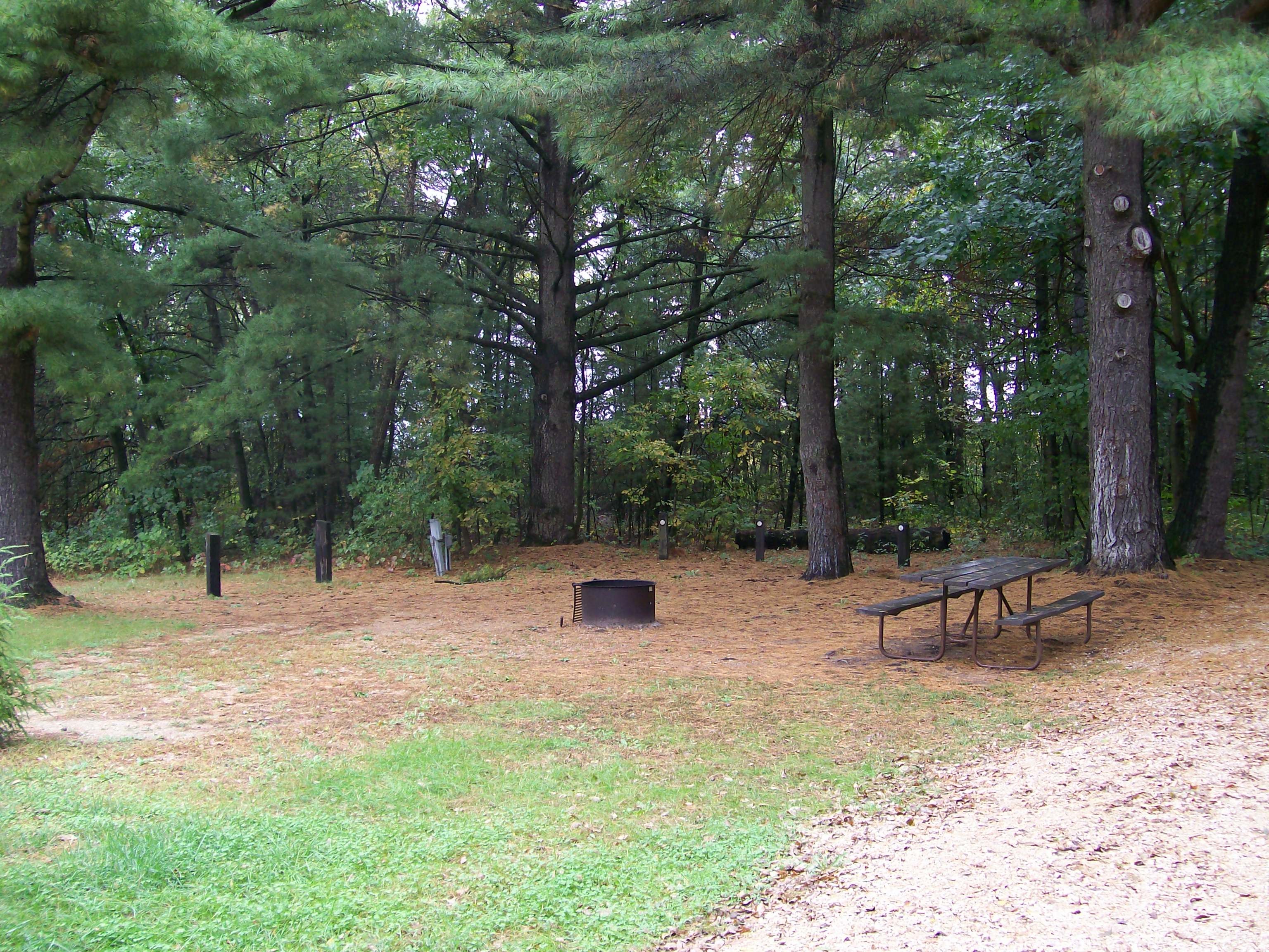 Site 9, photo 2 of 3 · from wisconsin.goingtocamp.com (the park's booking system)