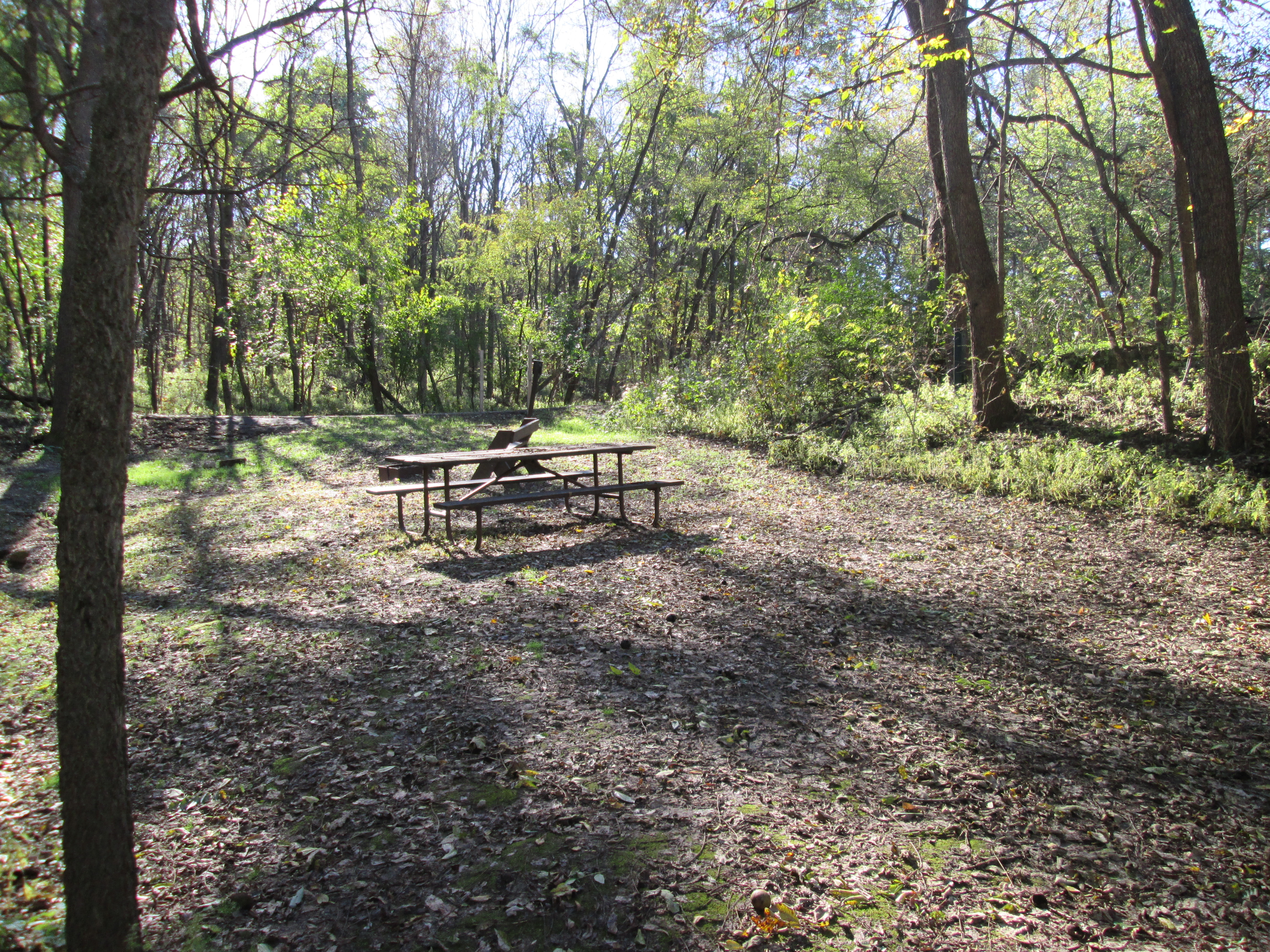 Site 1, photo 2 of 4 · from wisconsin.goingtocamp.com (the park's booking system)