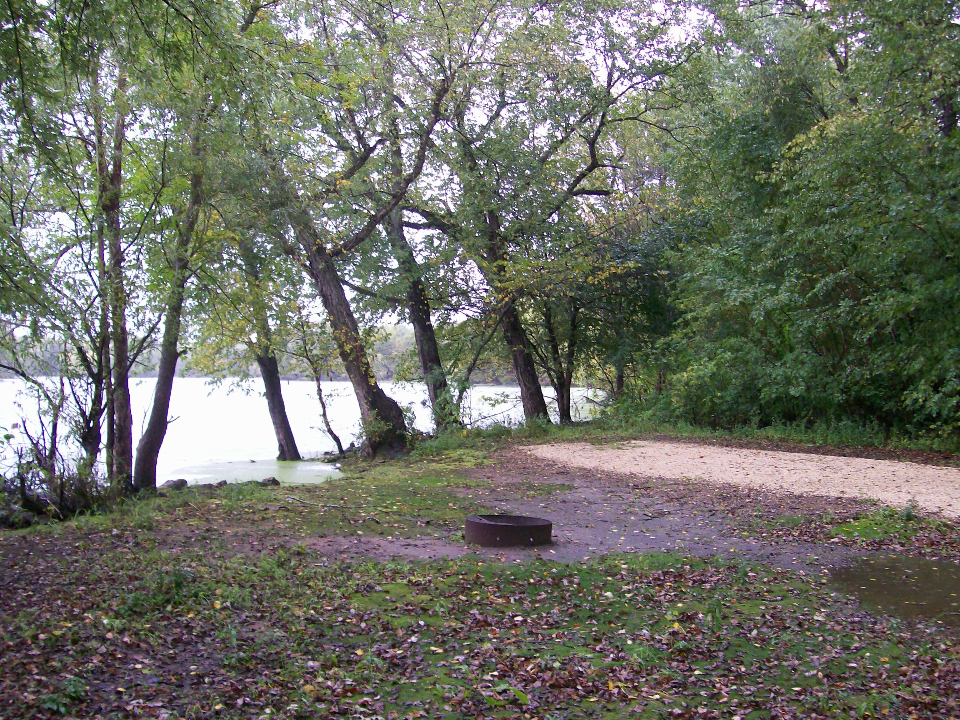 Site 55, photo 2 of 3 · from wisconsin.goingtocamp.com (the park's booking system)