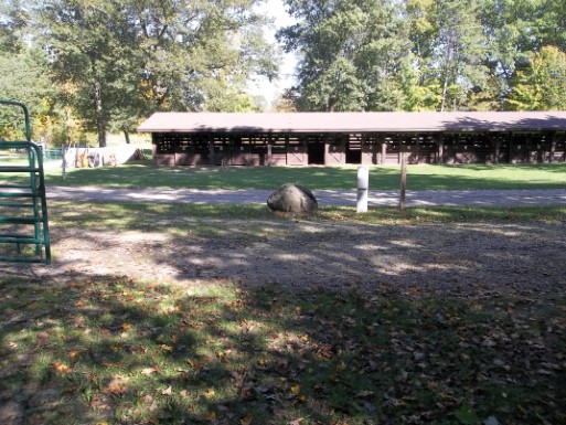 Site 7, photo 2 of 3 · from wisconsin.goingtocamp.com (the park's booking system)
