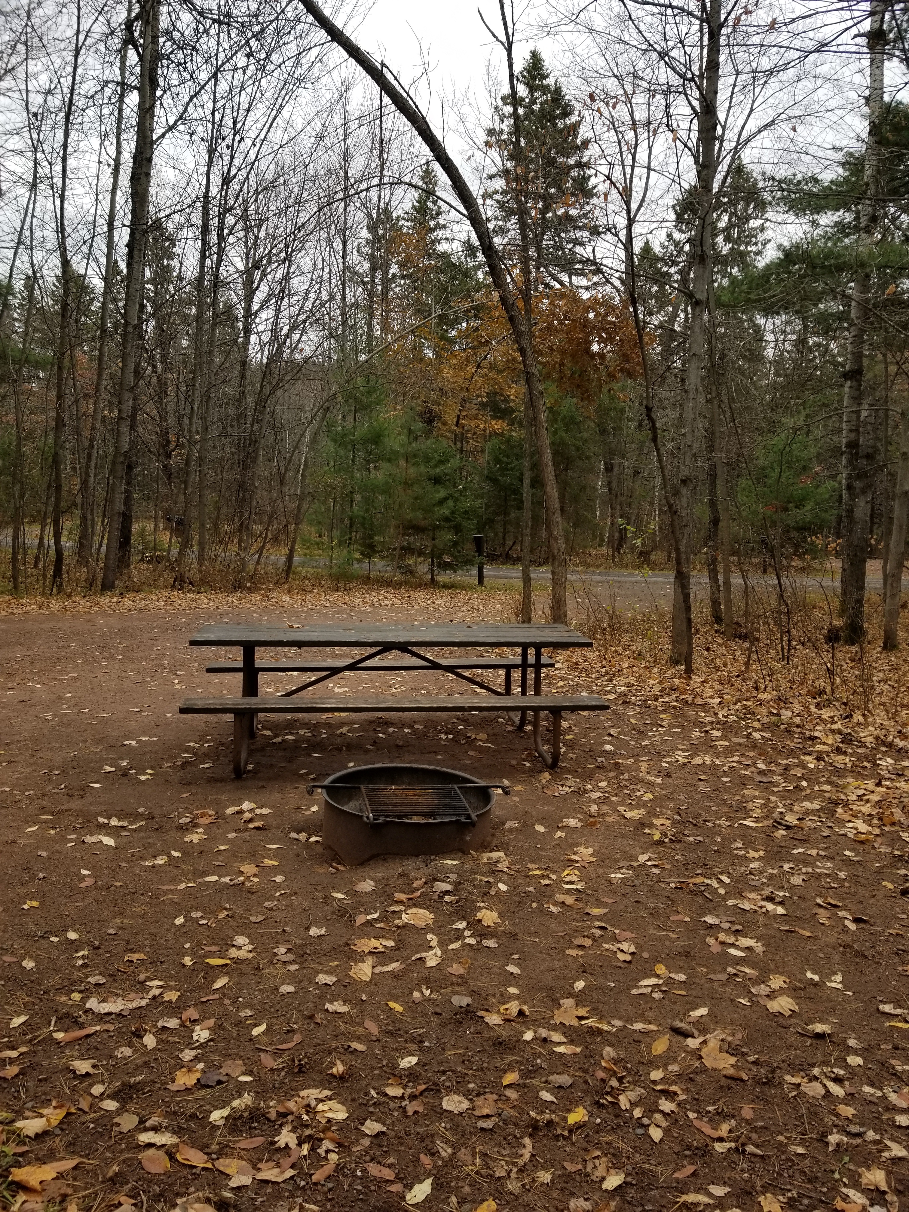 Site 24, photo 3 of 4 · from wisconsin.goingtocamp.com (the park's booking system)