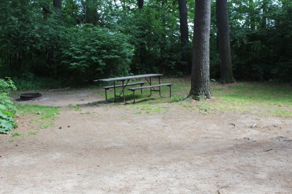 Site 69, photo 2 of 3 · from wisconsin.goingtocamp.com (the park's booking system)