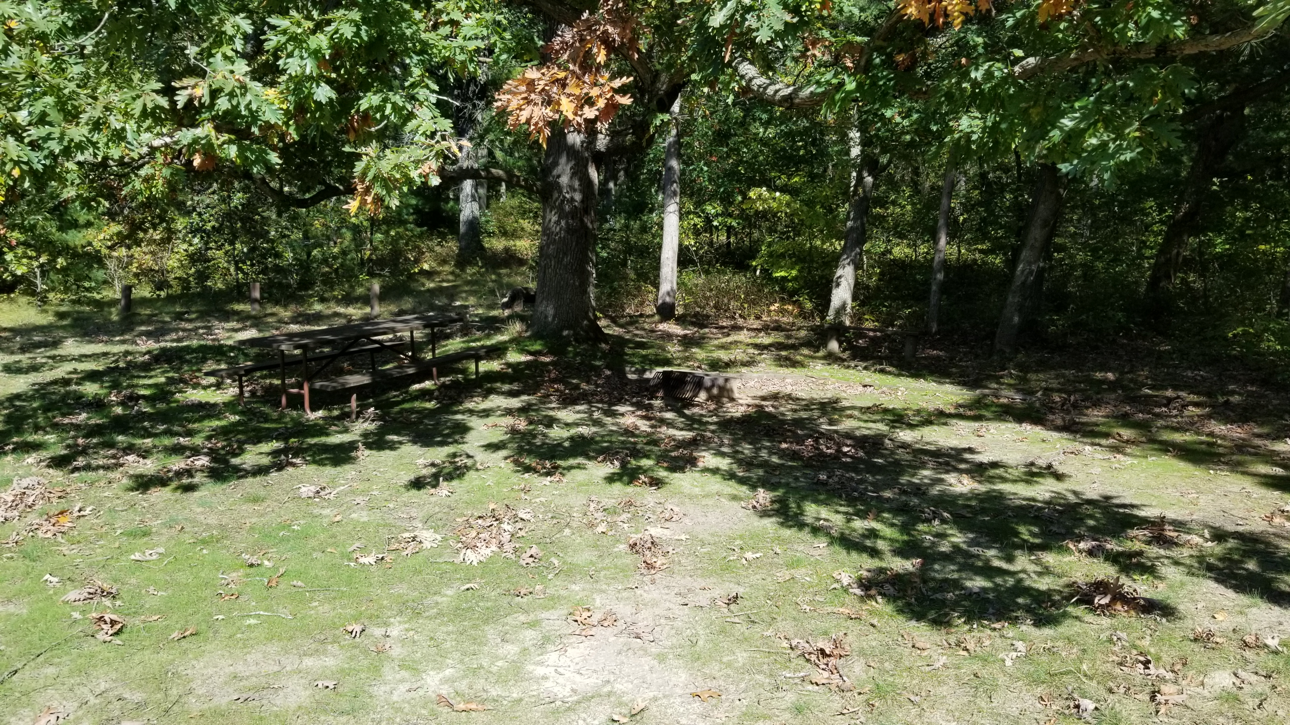 Site 12, photo 3 of 4 · from wisconsin.goingtocamp.com (the park's booking system)