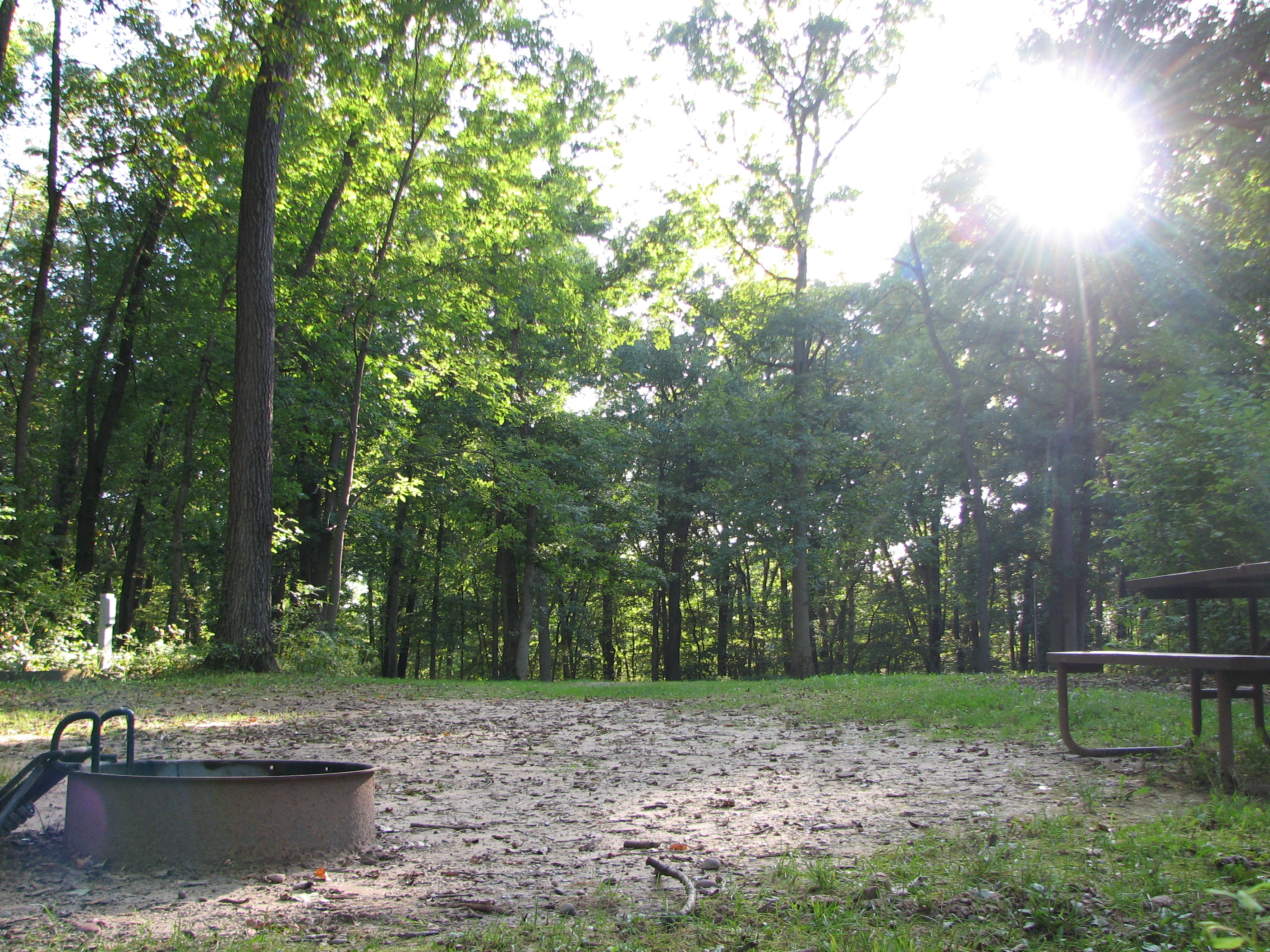 Site 25, photo 3 of 3 · from wisconsin.goingtocamp.com (the park's booking system)