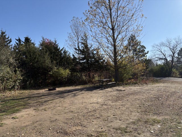 Site 205, photo 2 of 2 · from wisconsin.goingtocamp.com (the park's booking system)