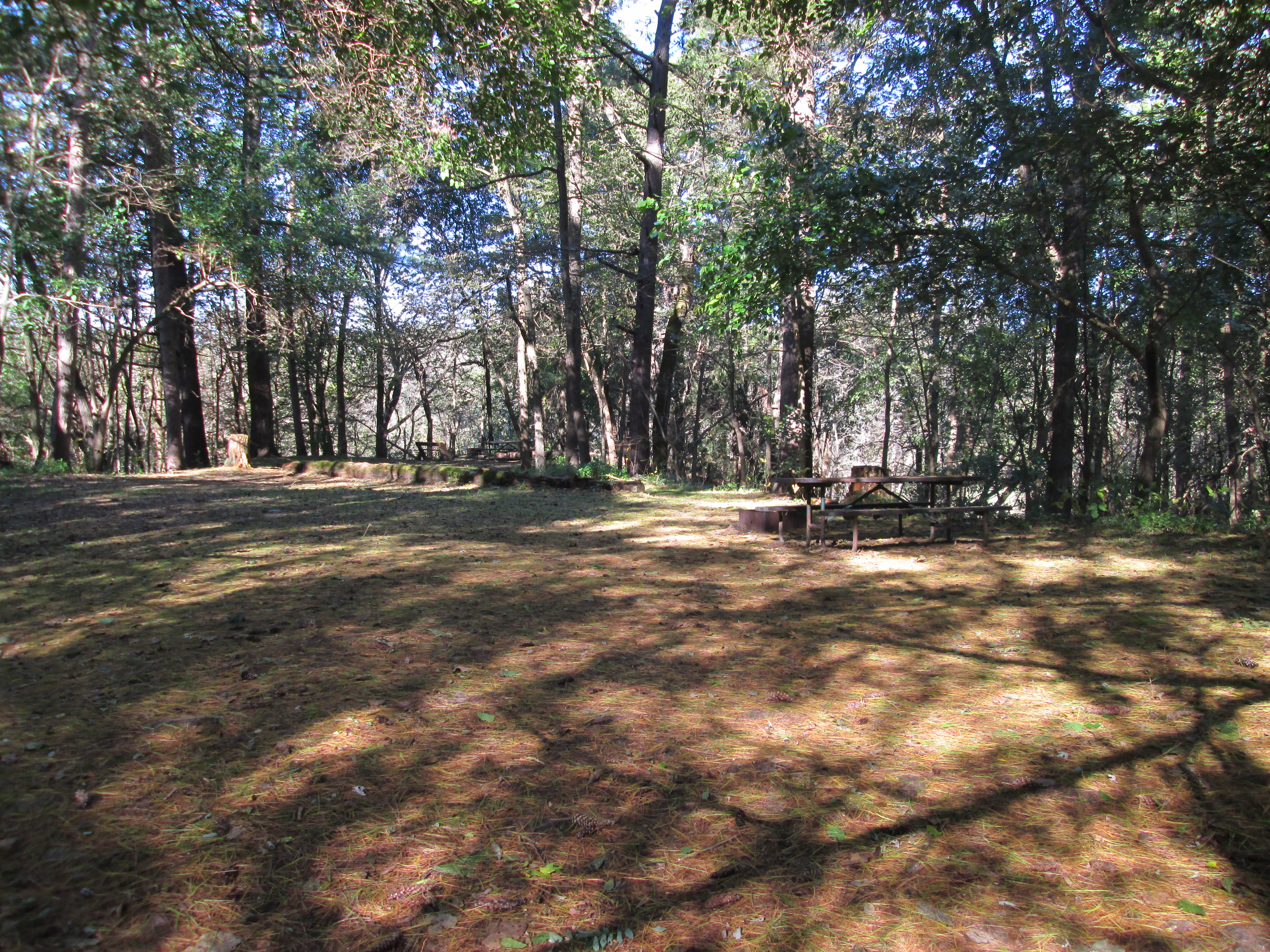 Site 2, photo 2 of 4 · from wisconsin.goingtocamp.com (the park's booking system)