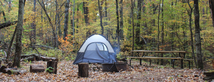 Governor Knowles State Forest