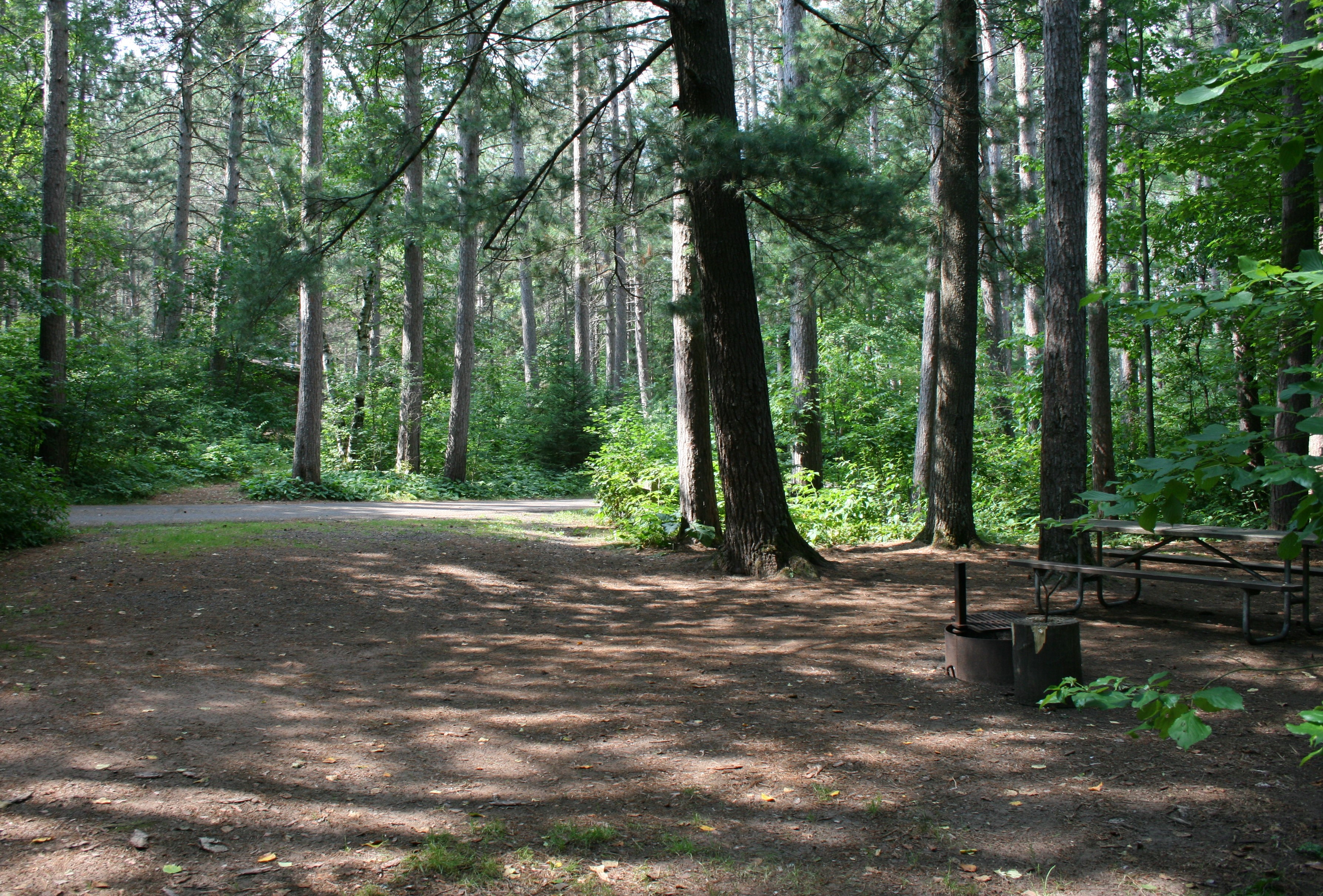 Site 9, photo 3 of 3 · from wisconsin.goingtocamp.com (the park's booking system)