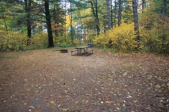 Site 450, photo 3 of 3 · from wisconsin.goingtocamp.com (the park's booking system)