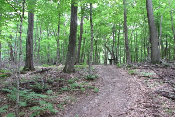 Site 7, photo 2 of 5 · from wisconsin.goingtocamp.com (the park's booking system)