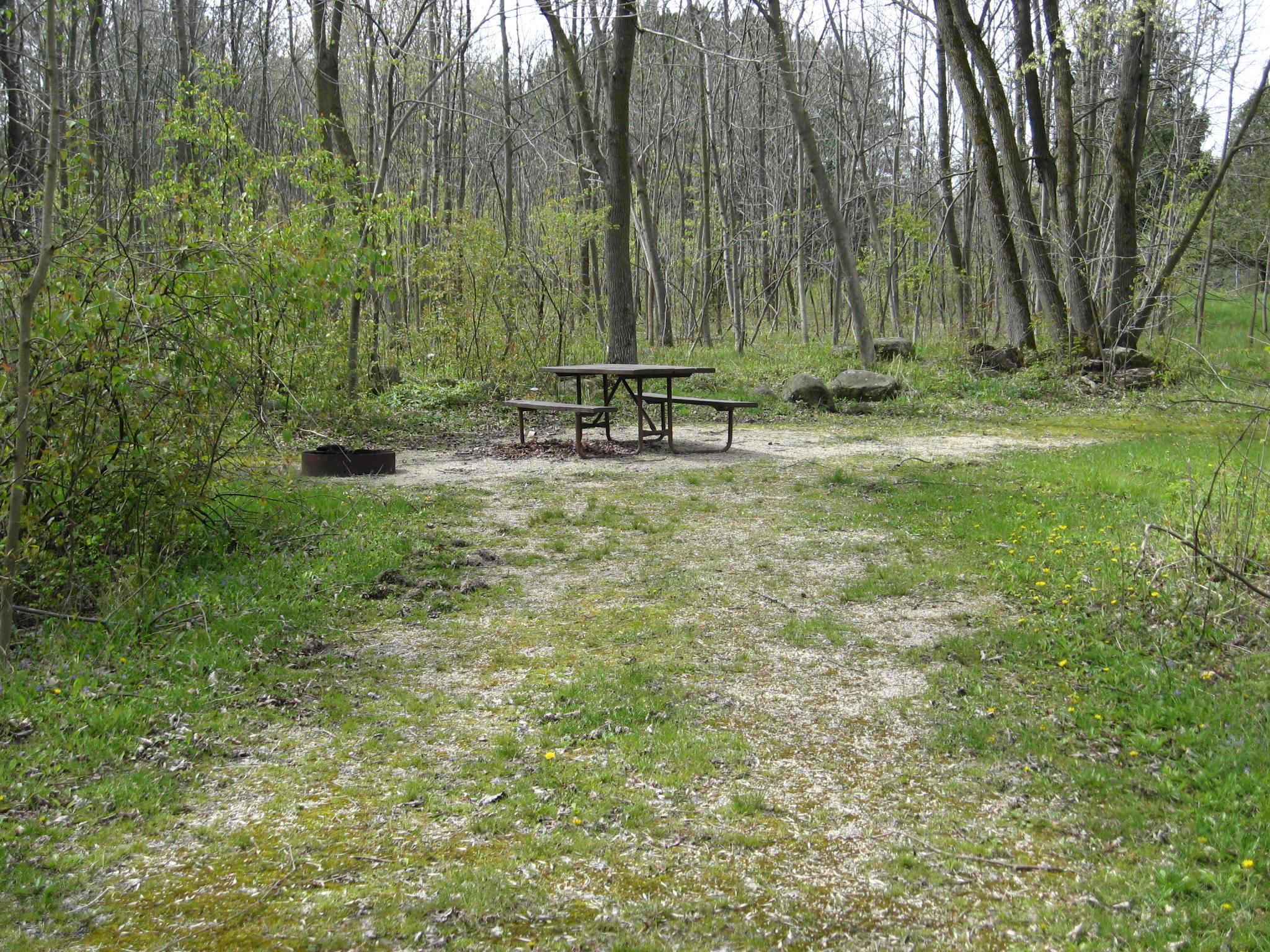 Site 606, photo 2 of 2 · from wisconsin.goingtocamp.com (the park's booking system)