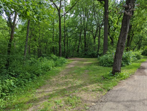 Site 4, photo 3 of 3 · from wisconsin.goingtocamp.com (the park's booking system)