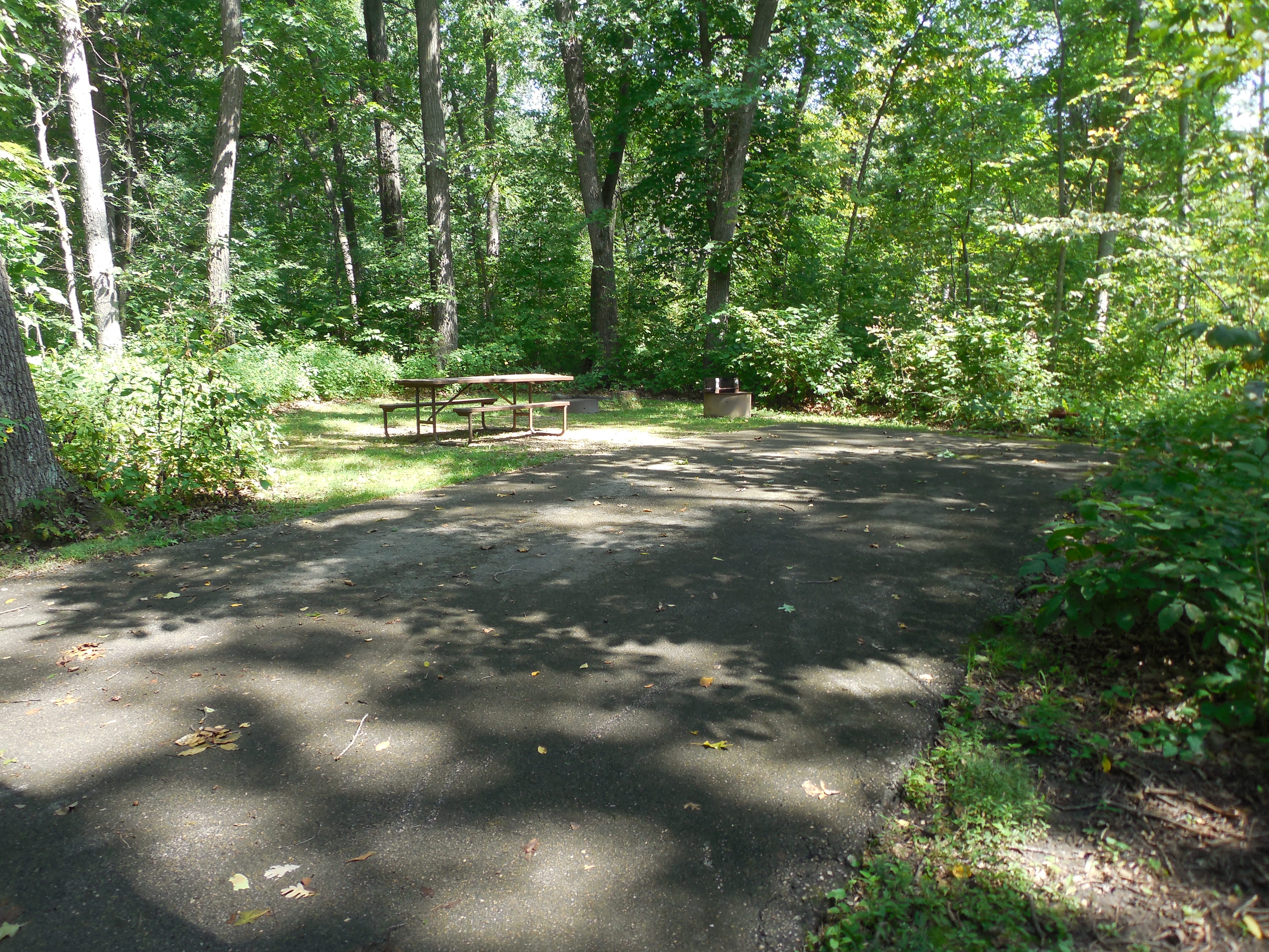 Site 12, photo 2 of 3 · from wisconsin.goingtocamp.com (the park's booking system)