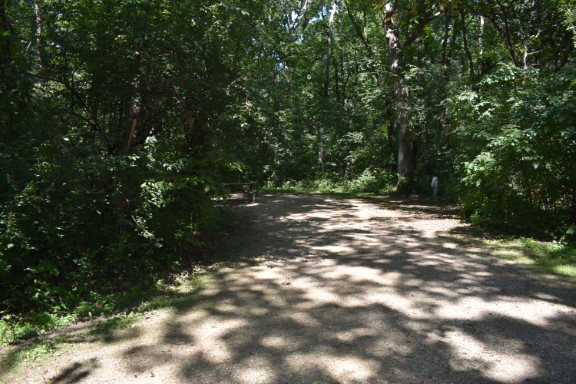Site 39, photo 2 of 5 · from wisconsin.goingtocamp.com (the park's booking system)