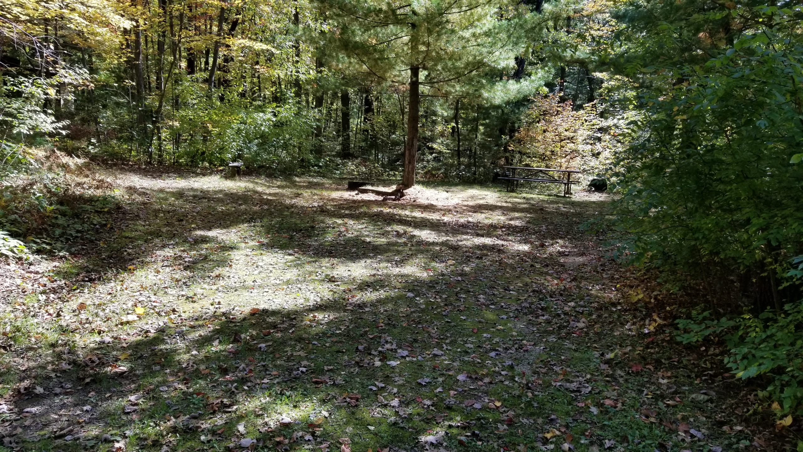 Site 10, photo 2 of 4 · from wisconsin.goingtocamp.com (the park's booking system)