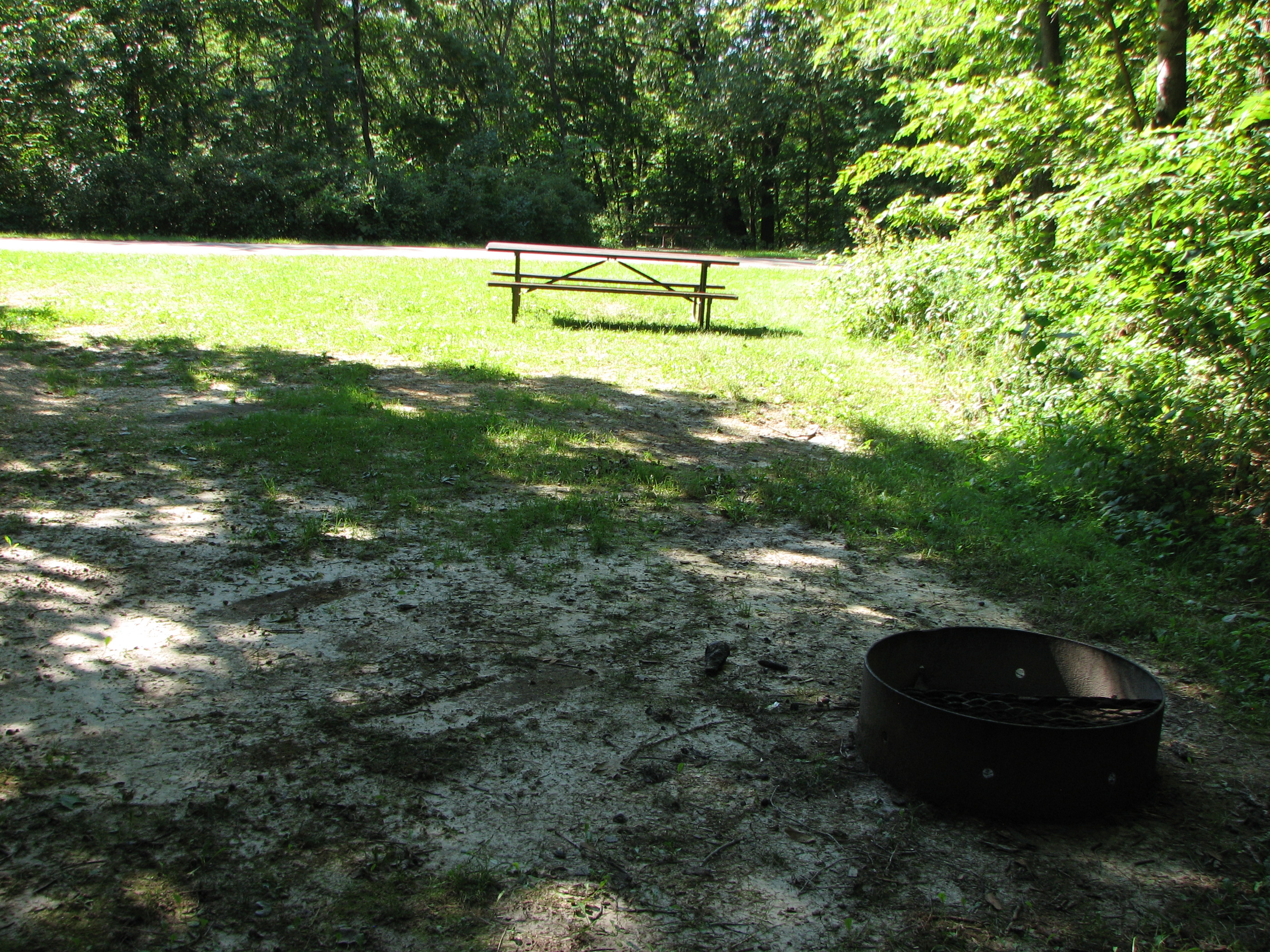 Site 234, photo 2 of 2 · from wisconsin.goingtocamp.com (the park's booking system)