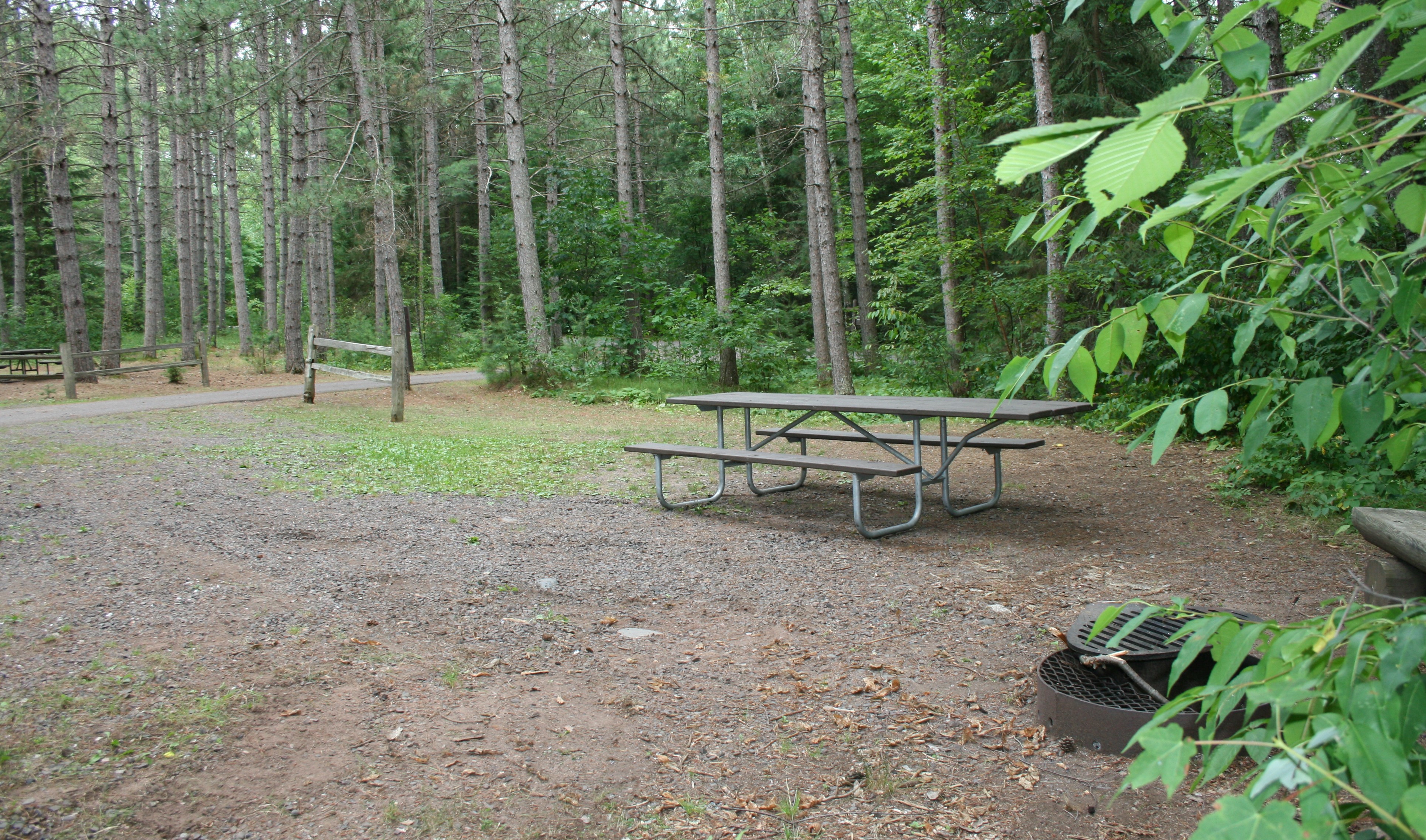 Site 18, photo 3 of 3 · from wisconsin.goingtocamp.com (the park's booking system)