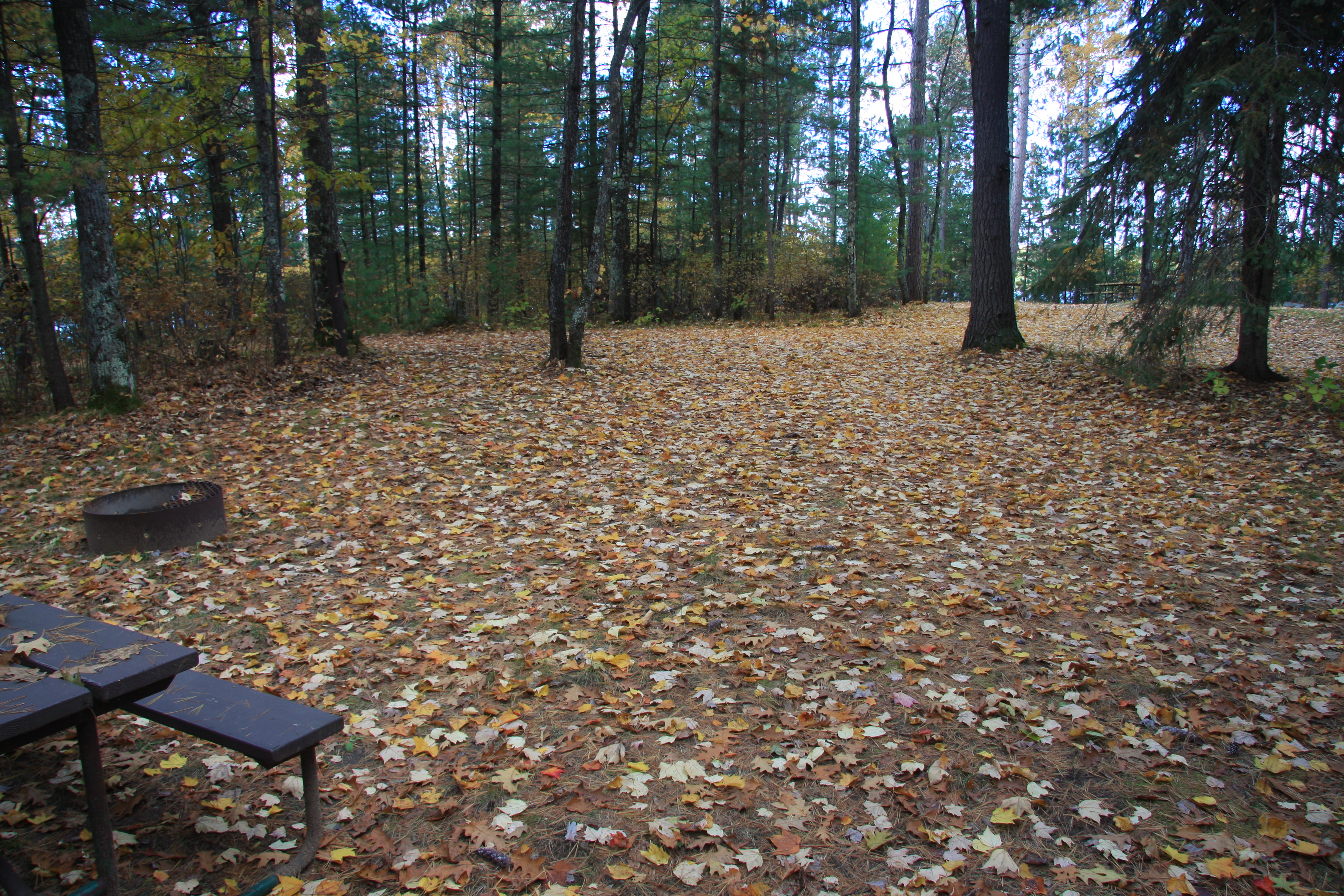 Site 2016, photo 2 of 2 · from wisconsin.goingtocamp.com (the park's booking system)