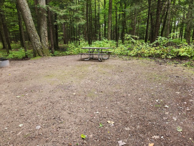 Site 51, photo 3 of 3 · from wisconsin.goingtocamp.com (the park's booking system)