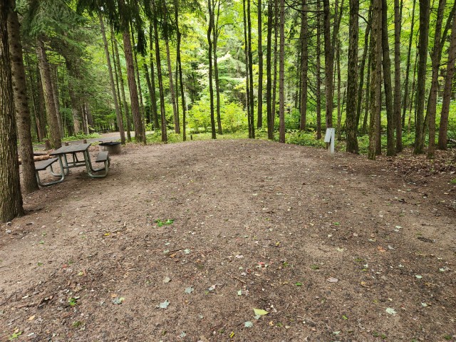 Site 1, photo 3 of 3 · from wisconsin.goingtocamp.com (the park's booking system)