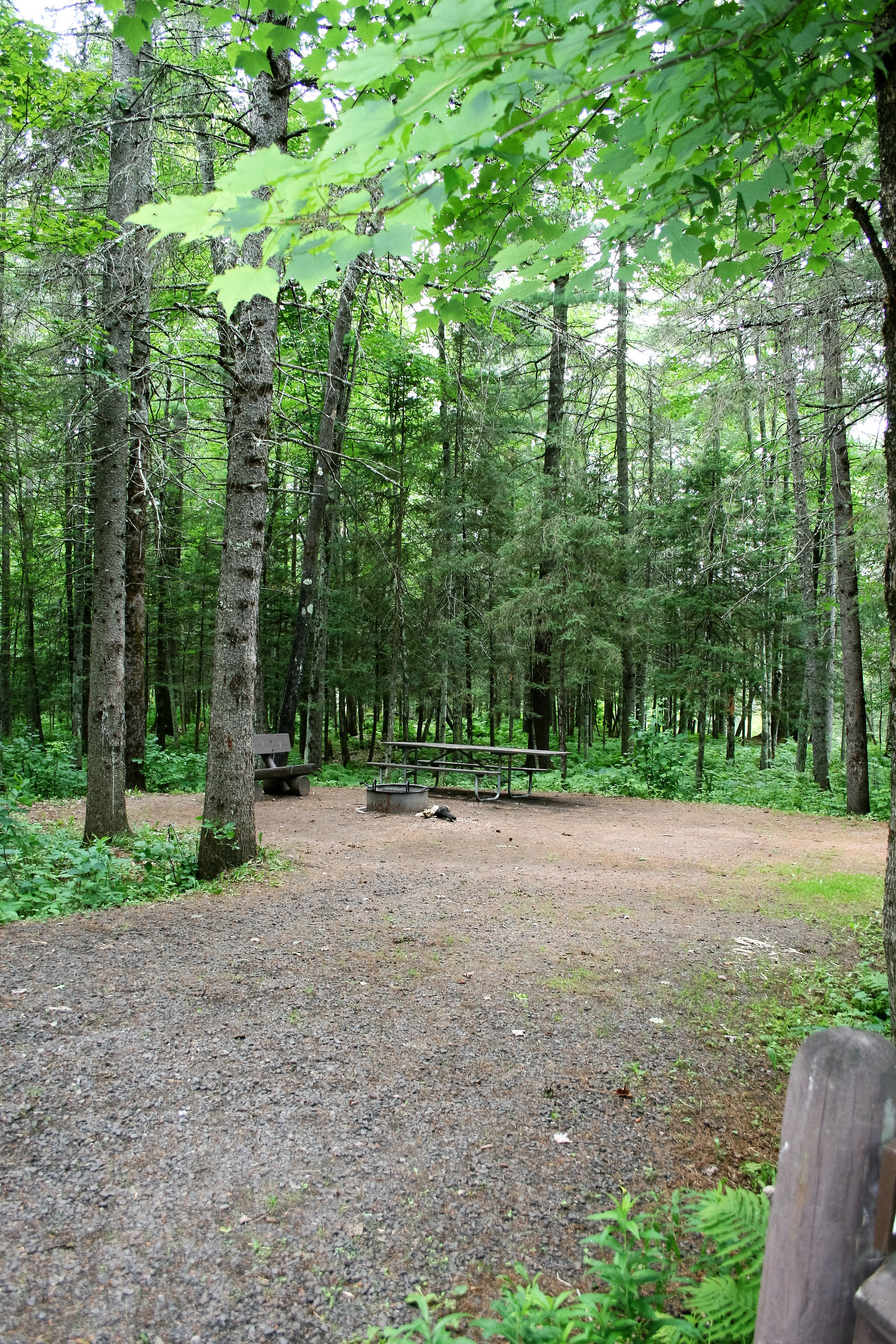 Site 29, photo 2 of 3 · from wisconsin.goingtocamp.com (the park's booking system)
