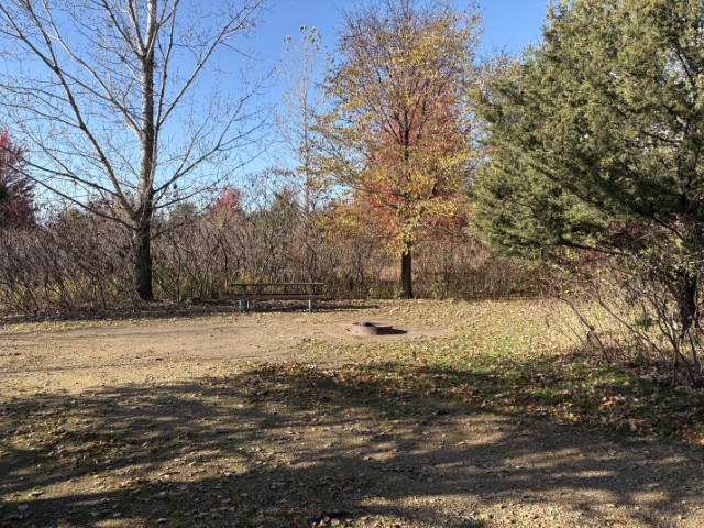 Site 145, photo 2 of 2 · from wisconsin.goingtocamp.com (the park's booking system)