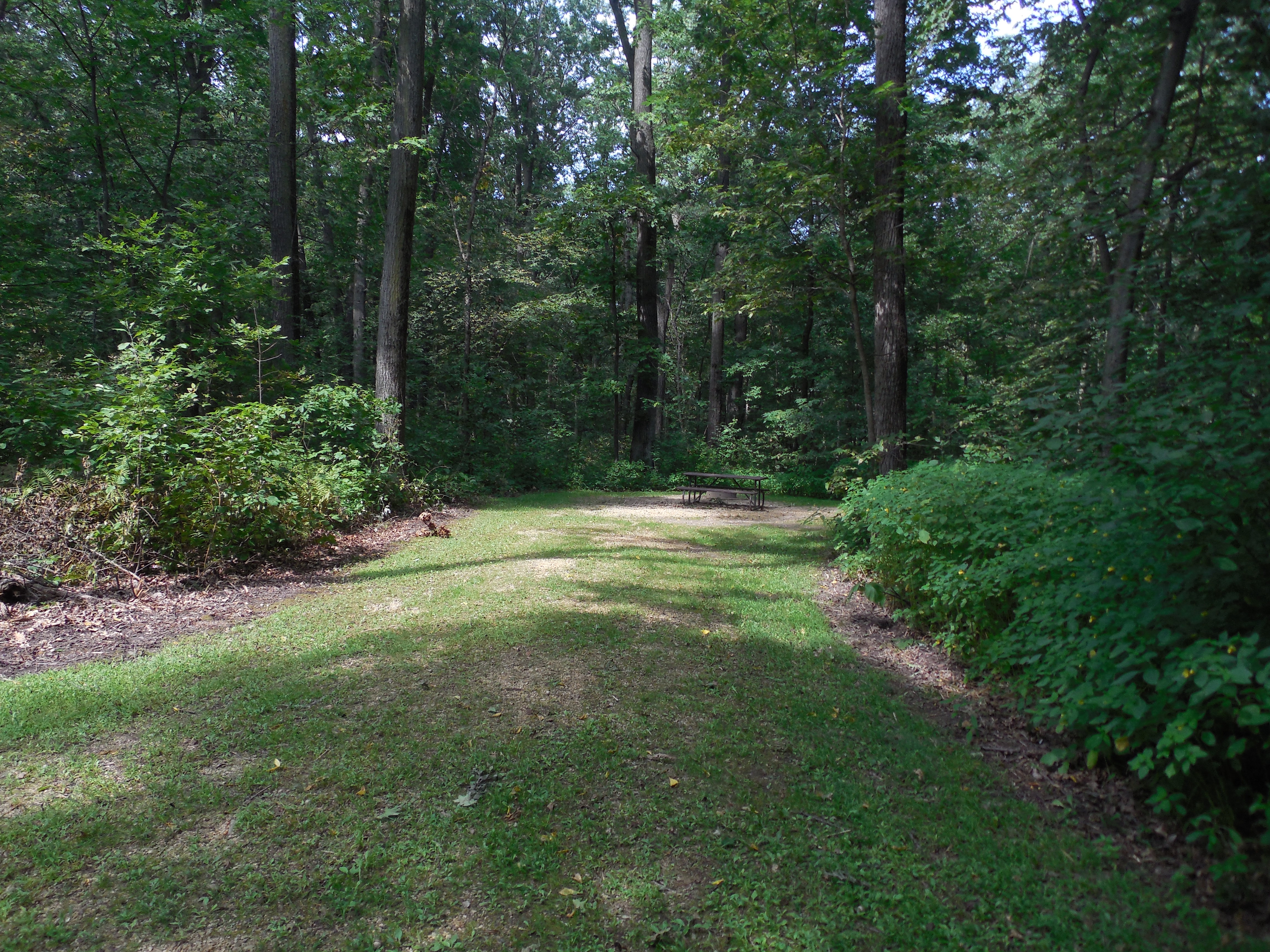 Site 36, photo 2 of 3 · from wisconsin.goingtocamp.com (the park's booking system)