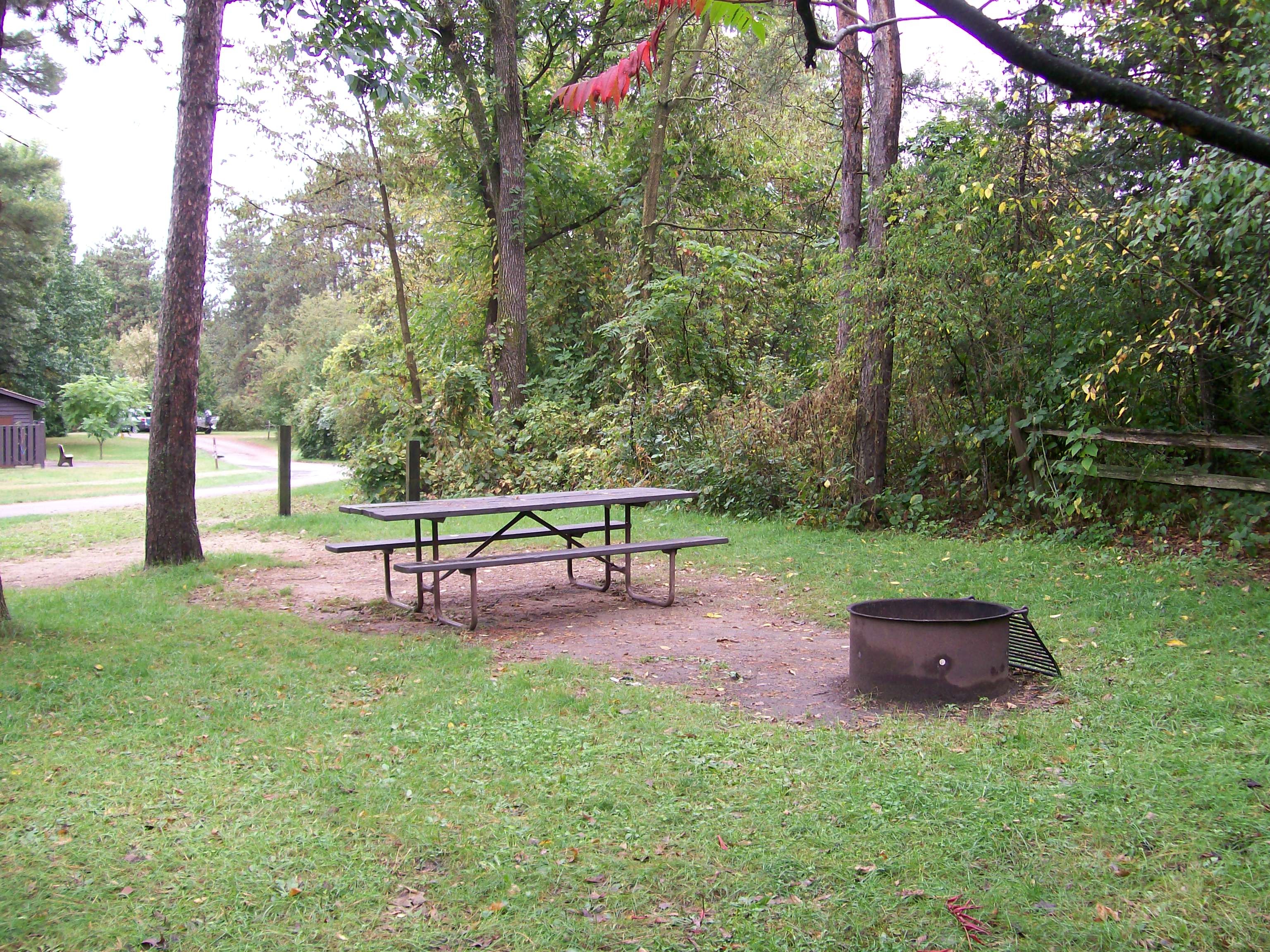 Site 19, photo 3 of 4 · from wisconsin.goingtocamp.com (the park's booking system)
