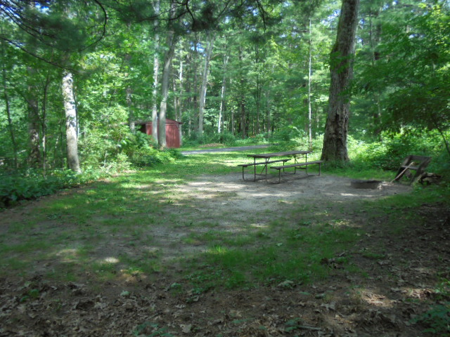 Site 22, photo 3 of 4 · from wisconsin.goingtocamp.com (the park's booking system)