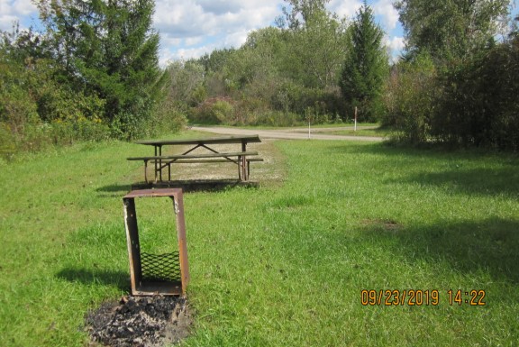 Site 445, photo 2 of 3 · from wisconsin.goingtocamp.com (the park's booking system)