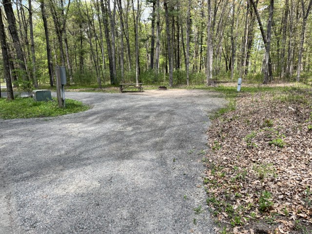 Site 7, photo 2 of 3 · from wisconsin.goingtocamp.com (the park's booking system)