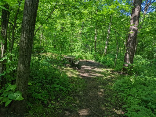 Site 30, photo 2 of 3 · from wisconsin.goingtocamp.com (the park's booking system)