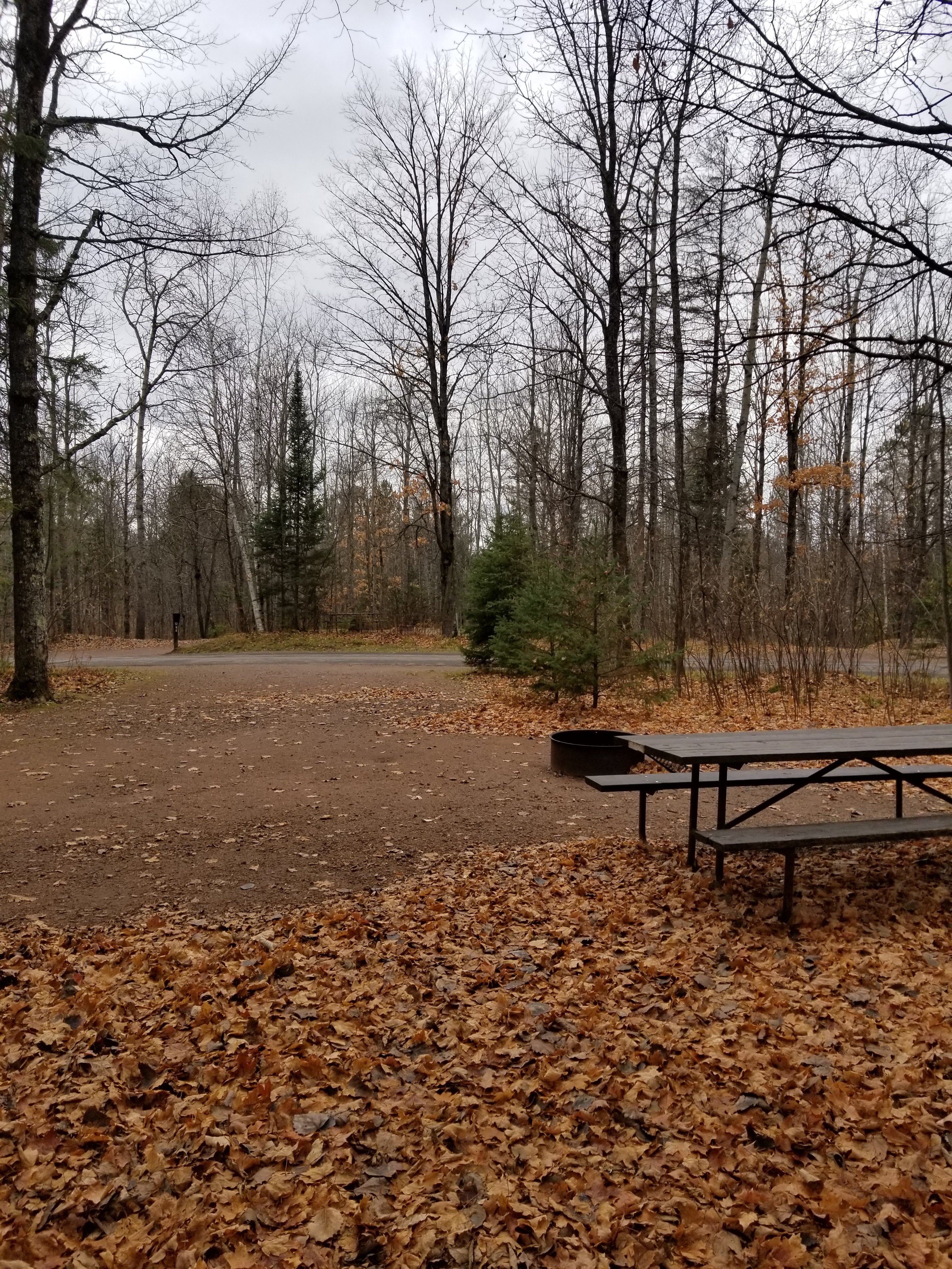 Site 11, photo 3 of 4 · from wisconsin.goingtocamp.com (the park's booking system)