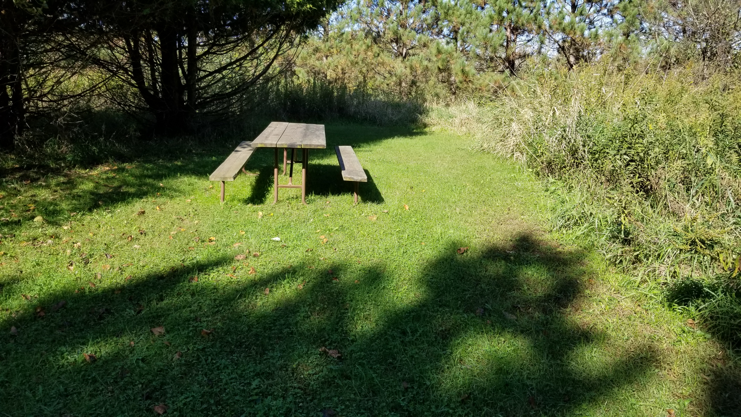 Site 7, photo 2 of 3 · from wisconsin.goingtocamp.com (the park's booking system)