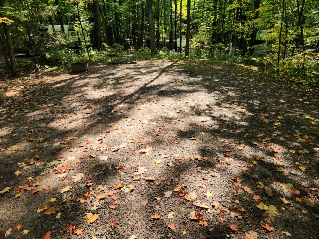 Site 21, photo 3 of 3 · from wisconsin.goingtocamp.com (the park's booking system)